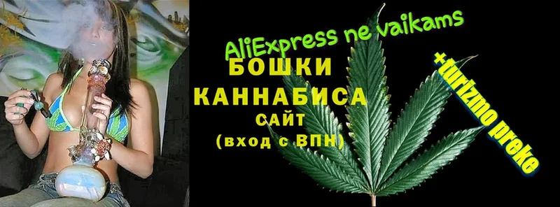 Бошки Шишки Bruce Banner  как найти закладки  Курильск 